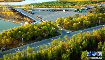 国开行宁夏分行金融扶贫的&ldquo;吴忠实践&rdquo;