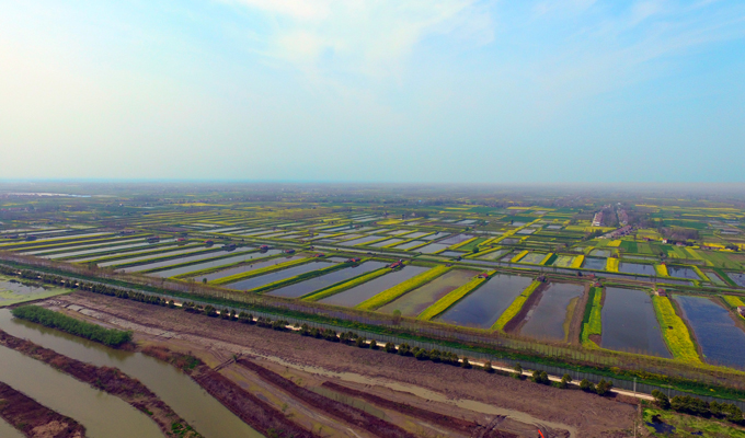 国开行支持的潜江市虾稻共作高标准农田整治项目
