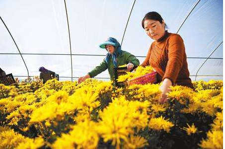 国开行：2019年将发放东西部扶贫协作贷款超150亿元