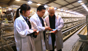 奋楫逐浪高 激扬新时代