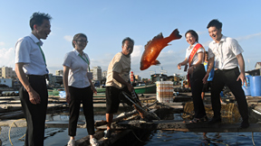 邮储银行积极服务乡村振兴战略
