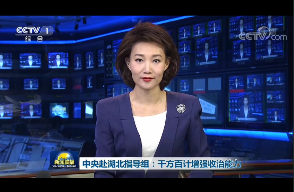 中央赴湖北工作组：千方百计增强收治能力