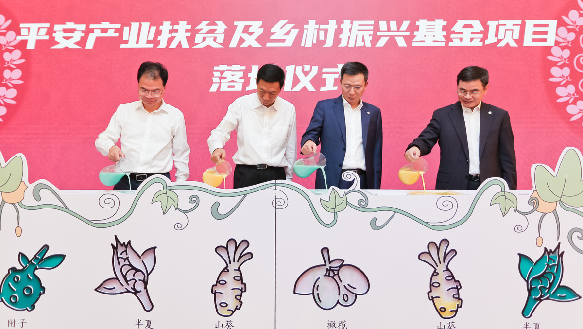 探索扶贫长效机制，助力凉山乡村振兴