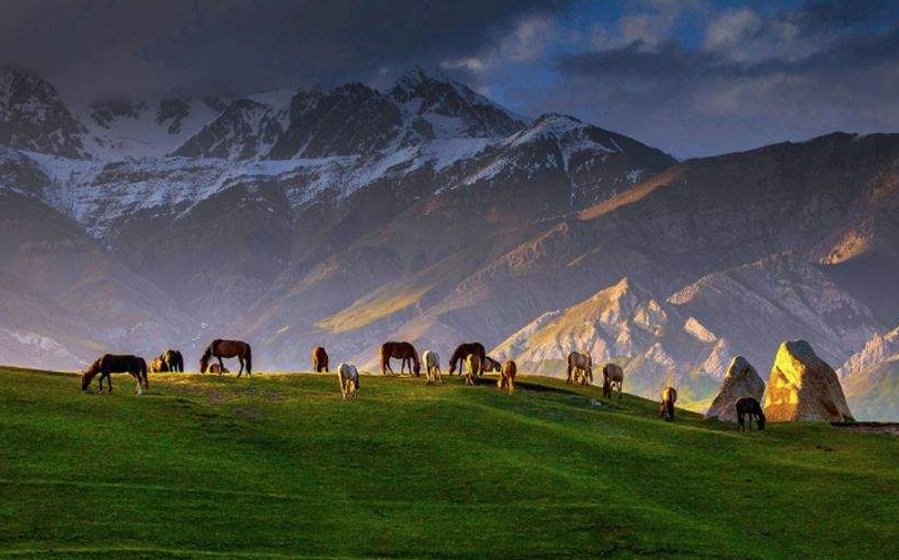 四季变换，时节流转，我们一直都在