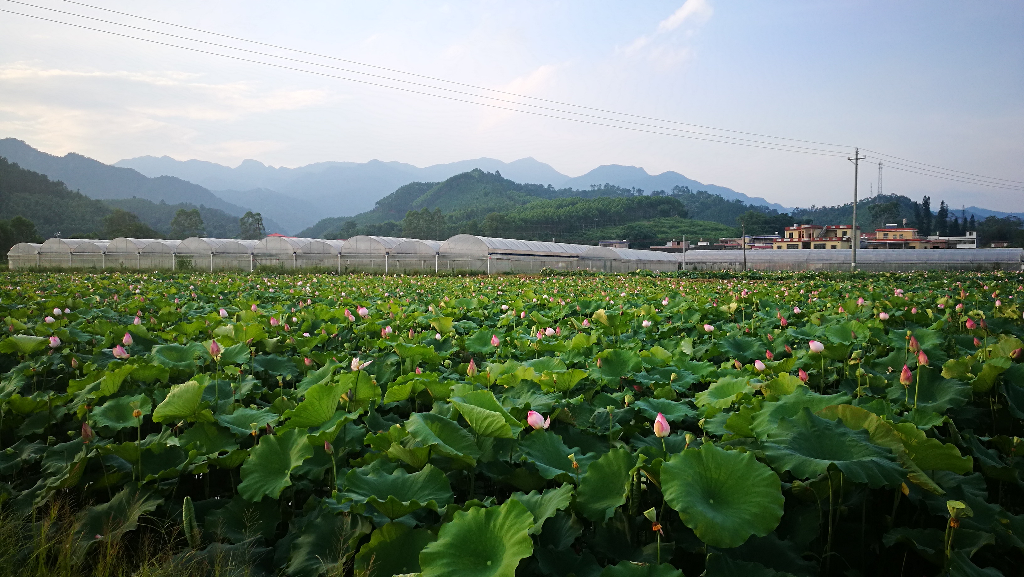 帮扶广东省韶关市鱼溪村产业园