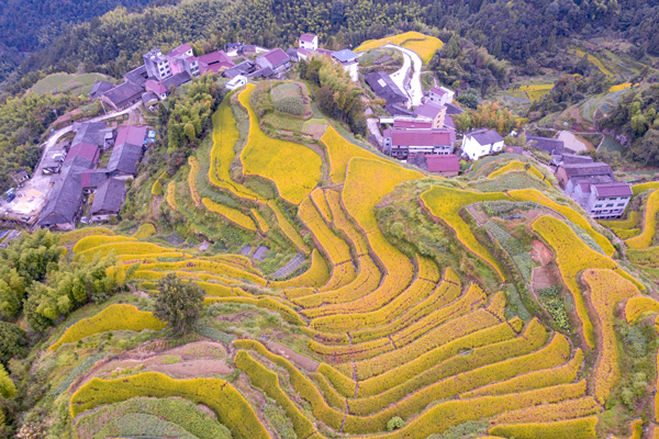 帮扶村光乍坑村大丰收
