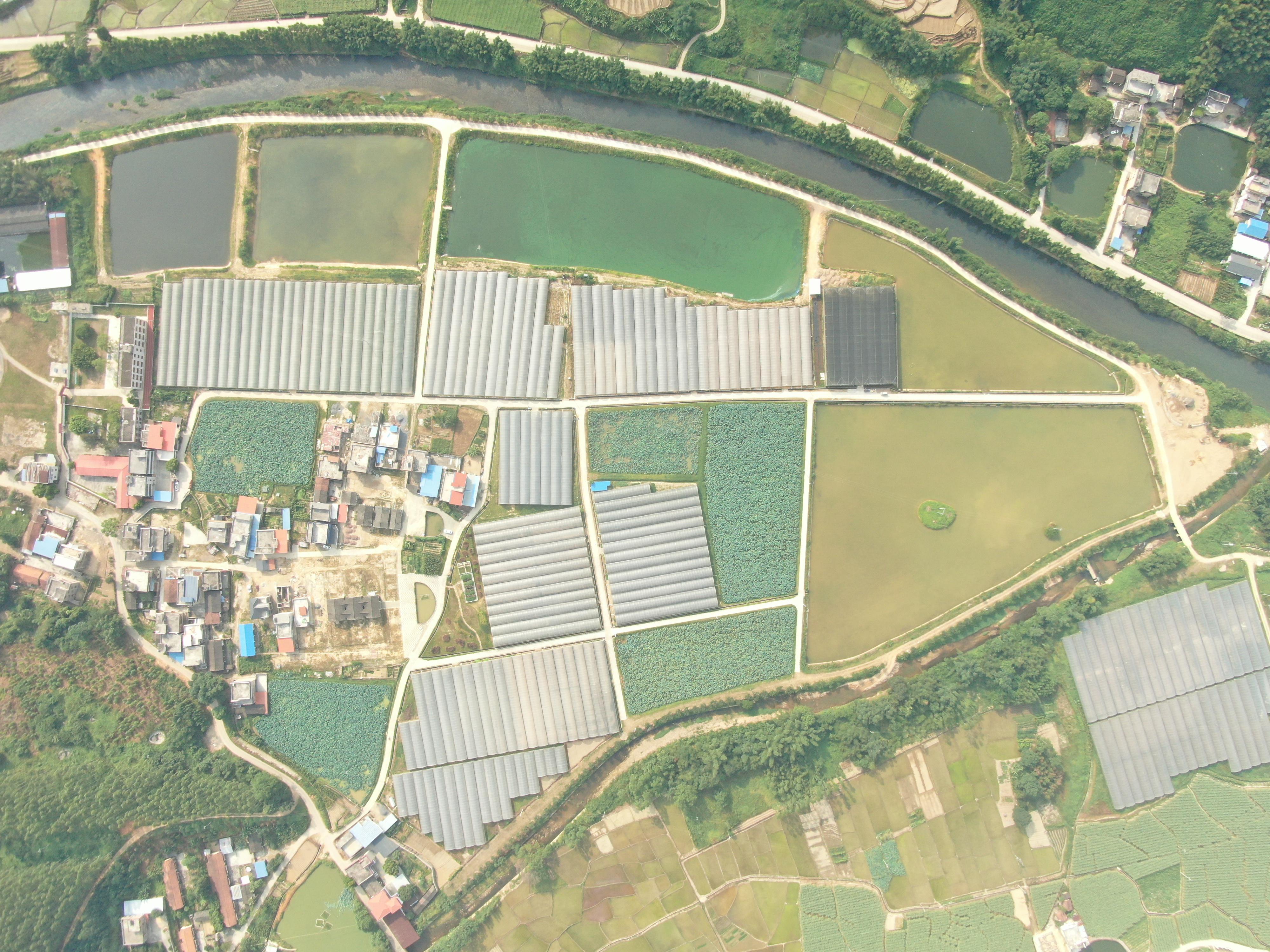 走进翁源县渔溪村，看广发银行产业扶贫助力乡村振兴