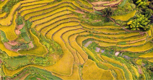 以情怀标注担当 用汗水浇灌硕果