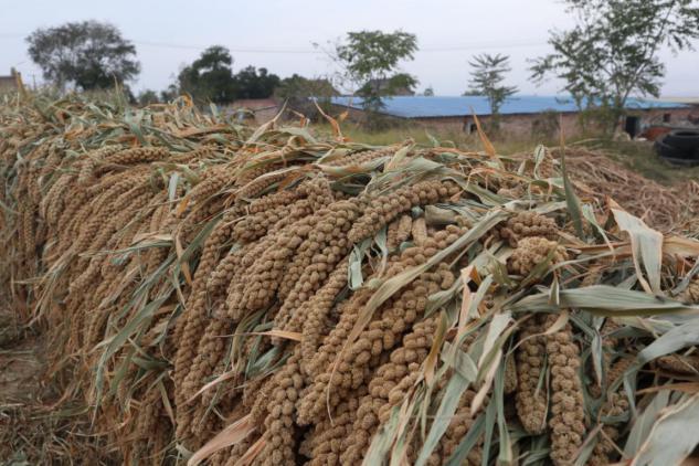 种植、养殖带来幸福生活