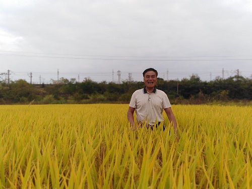 最美四月天，田间地头无闲处