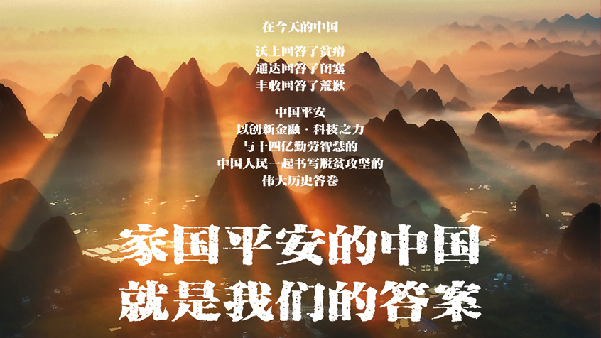 家国平安的中国 就是我们的答案