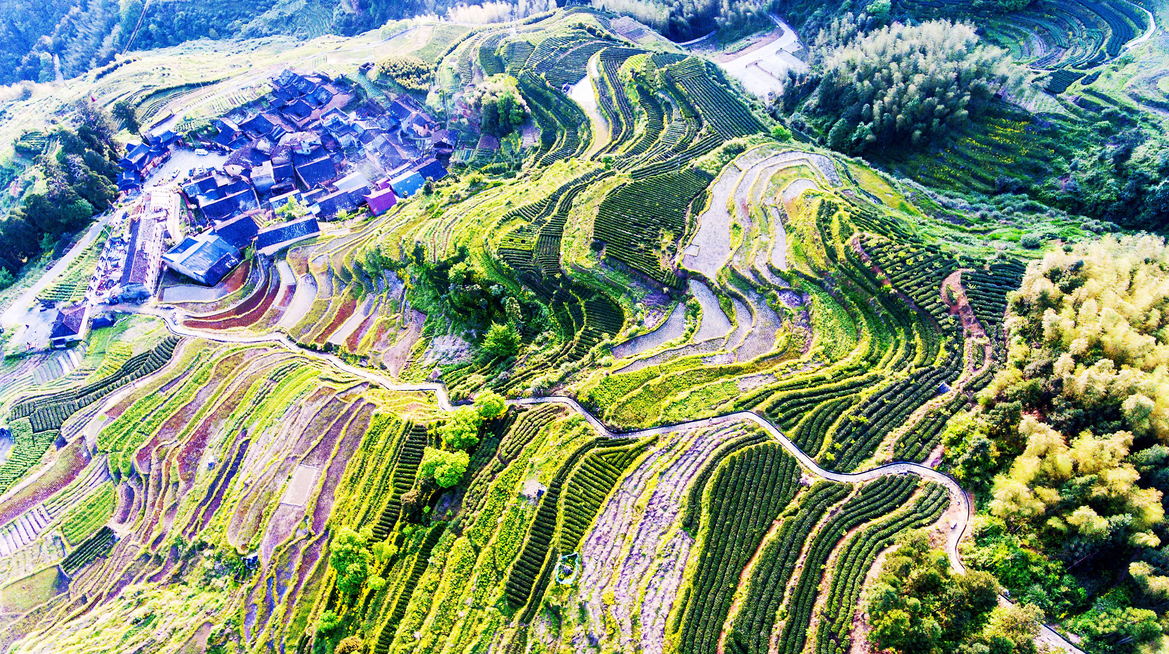 兴业银行挂钩帮扶点政和县脱贫“摘帽”焕新颜