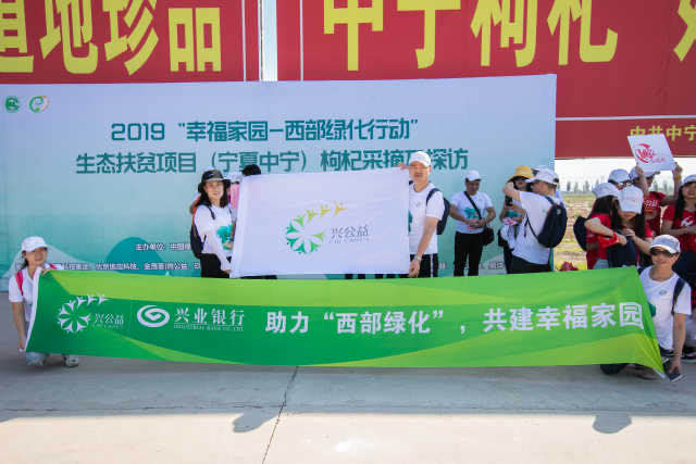 小小枸杞苗带来脱贫致富新希望