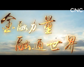 【视频】进博会｜金融力量 融通世界