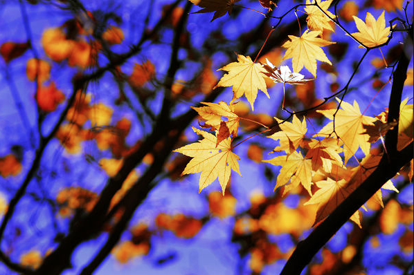 兴业银行金融扶贫扶到点上扶到需上扶到根上
