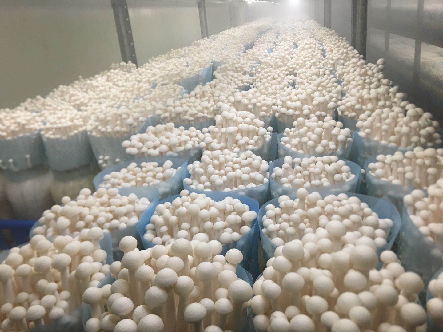 兴业银行：绿色金融如何“点绿成金”？