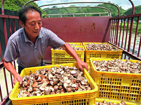 国开行精准扶贫贷款累计发放近5000亿元