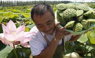 南方基金鱼晋华:目标日期基金是养老投资的新