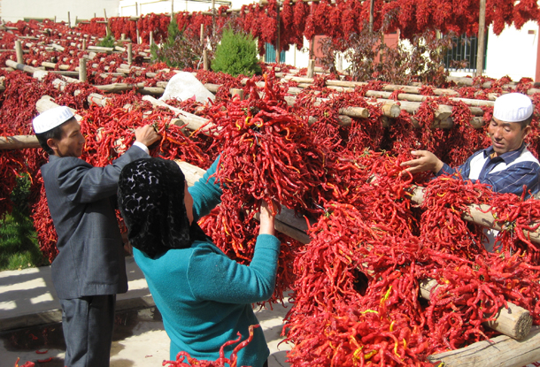 农行分行&ldquo;产业链贷款&rdquo;化解农民融资难题