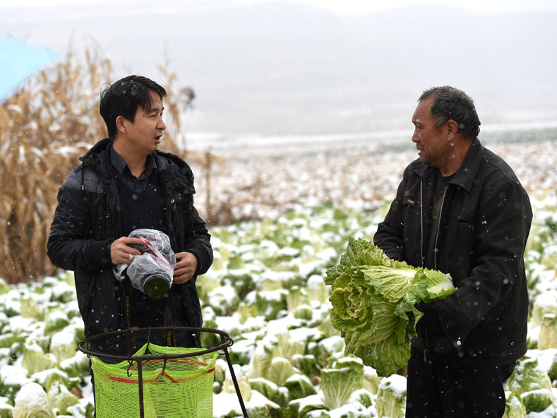 新华社山西分社燕雁:心中有爱 脚下是根