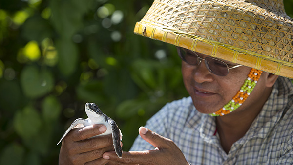 &ldquo;筑梦人&rdquo;王春