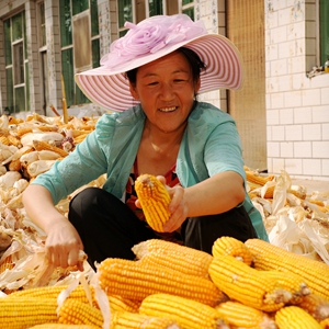 &ldquo;农民画家&rdquo;杨晓梅