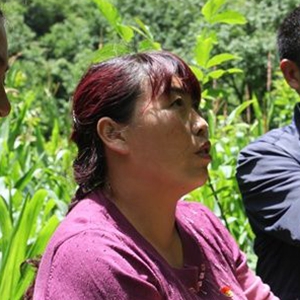 &ldquo;美丽格桑花&rdquo;余德春