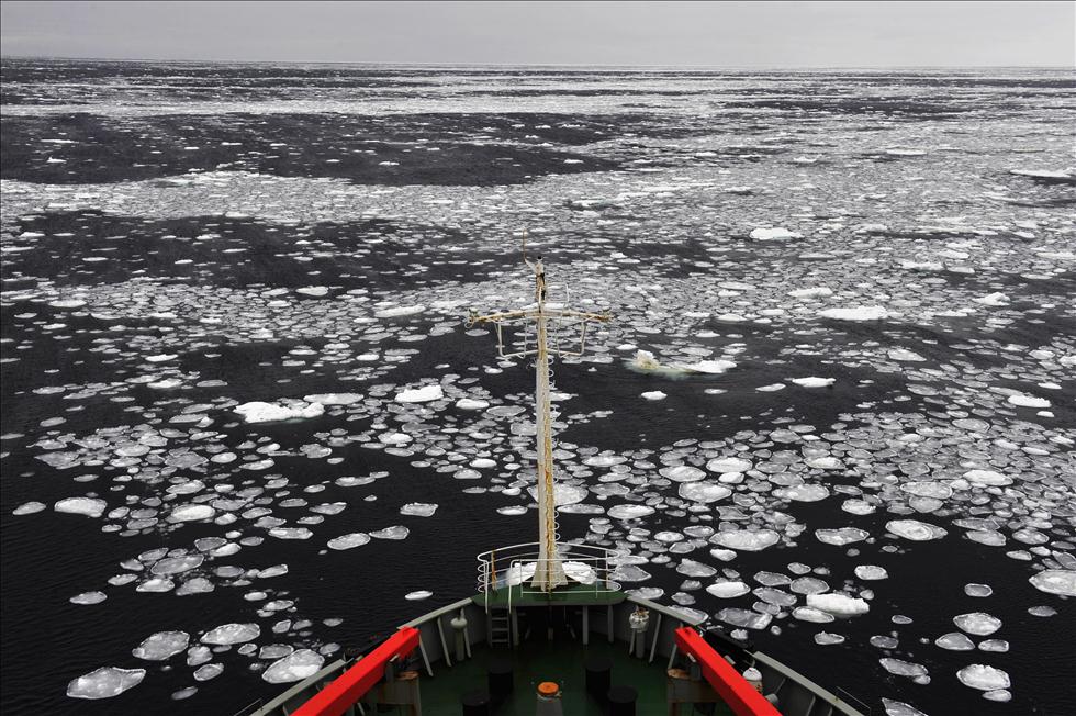 南大洋上的&ldquo;接天莲叶&rdquo;(高清)