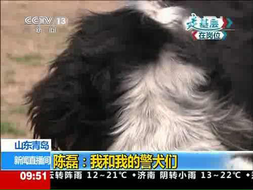 走基层·在岗位 陈磊：我和我的警犬们