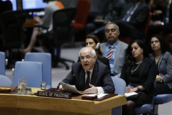 联合国特使谴责加沙暴力冲突