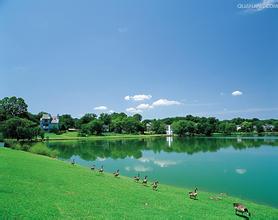 即时新闻_新华华人