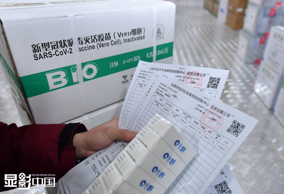 1月5日，合肥市包河区疾病预防控制中心疫苗储存冷库，工作人员正在核对疫苗配送名单批号。