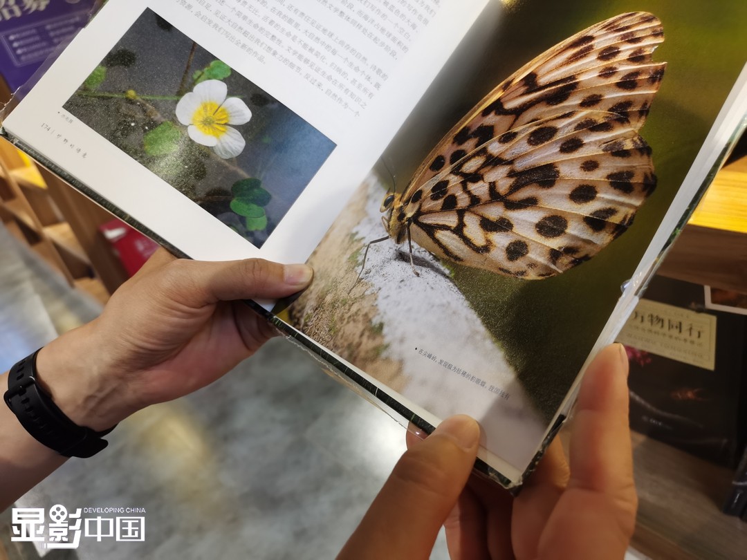 随着时间的推移，李元胜的考察对象从最初的蝴蝶扩展到了昆虫、其他动物，后来又开始观察植物。二十多年间，李元胜拍摄了各种昆虫和植物的照片十多万张，积累的观察笔记超过三十万字，并出版了《昆虫之美》《与万物同行》《亲爱的虫虫》等多部与自然有关的书籍。2021年，李元胜被评选重庆市最美“绿色人物”。新华网 陈雨 摄 陈雨 文