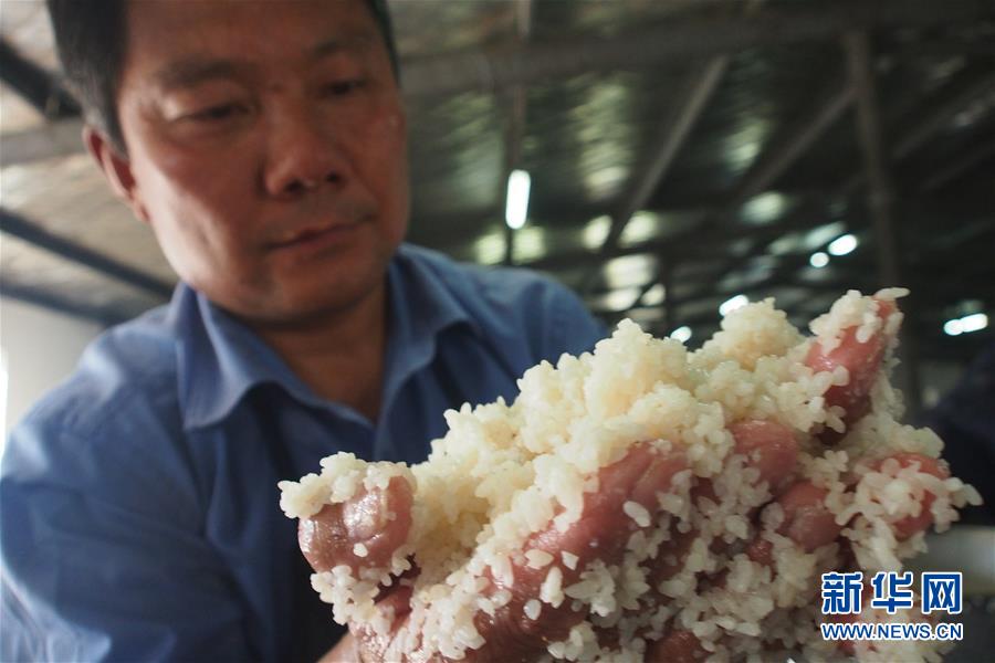 #（感悟非遗）（2）江苏丹阳：封缸酒&ldquo;冬酿&rdquo;开启