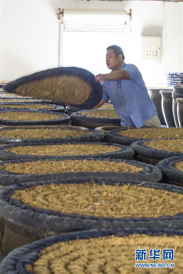 #（感悟非遗）（4）江苏丹阳：封缸酒&ldquo;冬酿&rdquo;开启