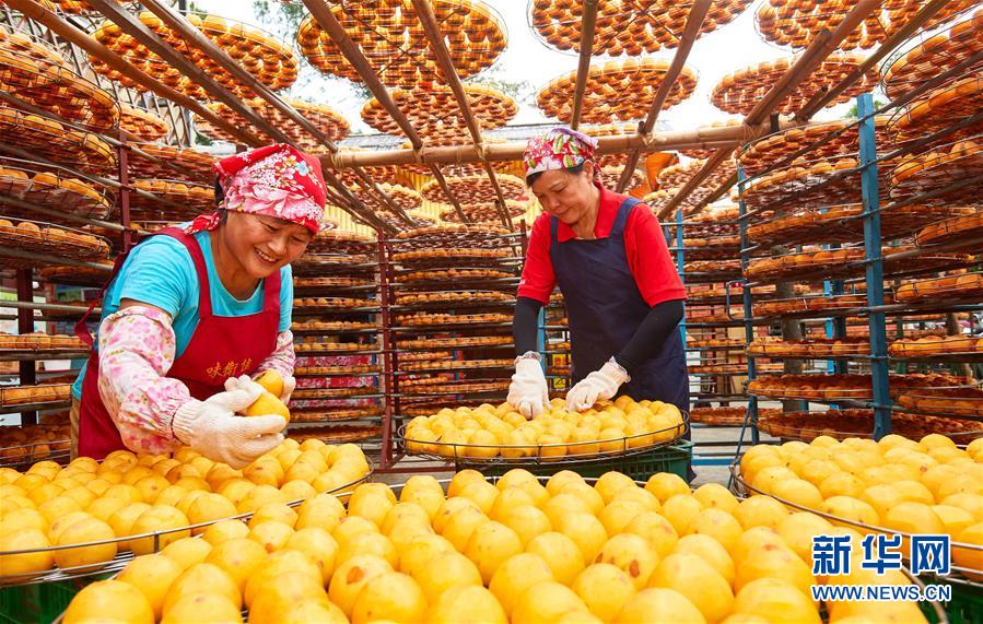 （社会）（4）台湾新竹：&ldquo;柿饼婆婆&rdquo;的幸福&ldquo;柿&rdquo;业