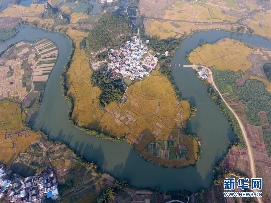 （空中之眼）（4）广西上林：田园山水共金秋
