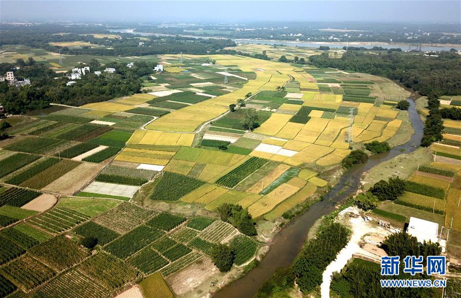 （空中之眼）（3）广西合浦水车村山乡画卷