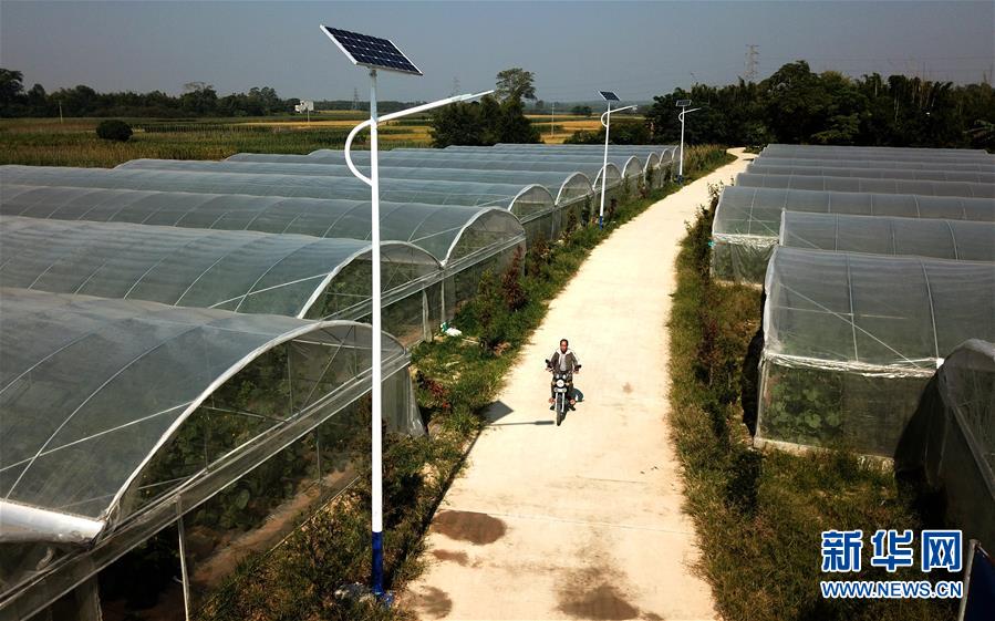 （空中之眼）（5）广西合浦水车村山乡画卷