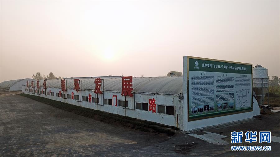 (奋进新时代)(5)河南平顶山:现代生态循环农业助力乡村振兴