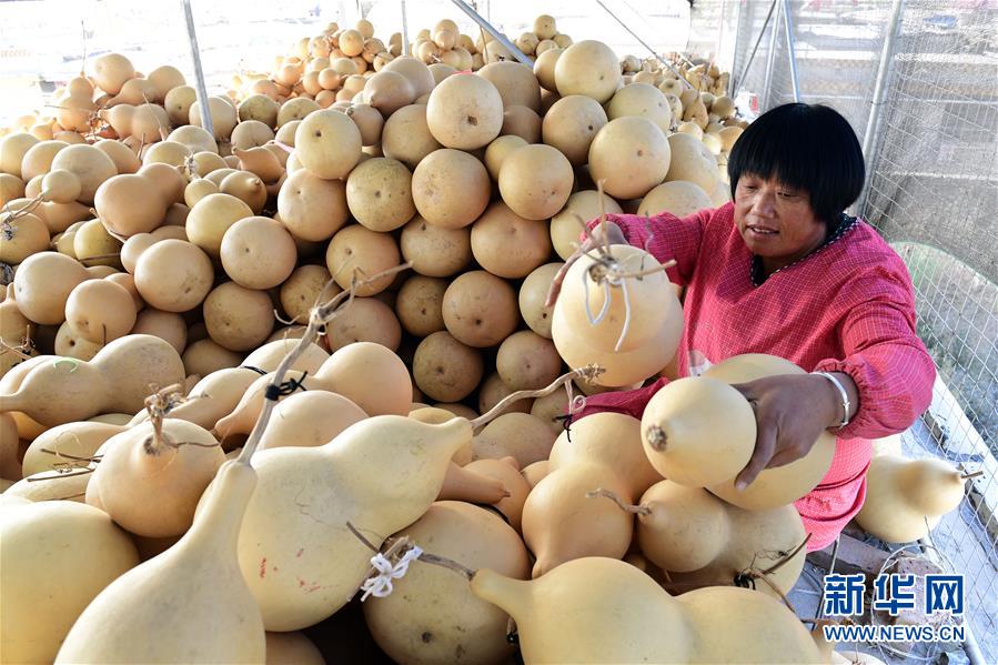 （经济）（4）山东聊城：小葫芦刻出大&ldquo;福禄&rdquo;