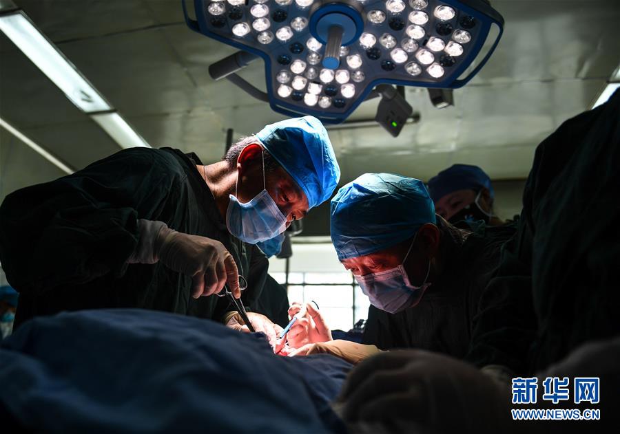 （健康）（4）西藏完成包虫病筛查并积极开展治疗