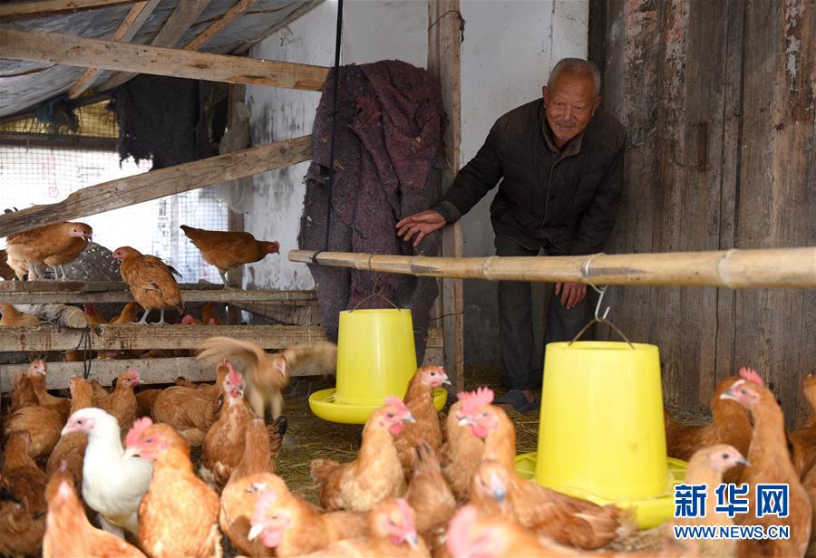 （社会）（1）生态养殖走上脱贫路　