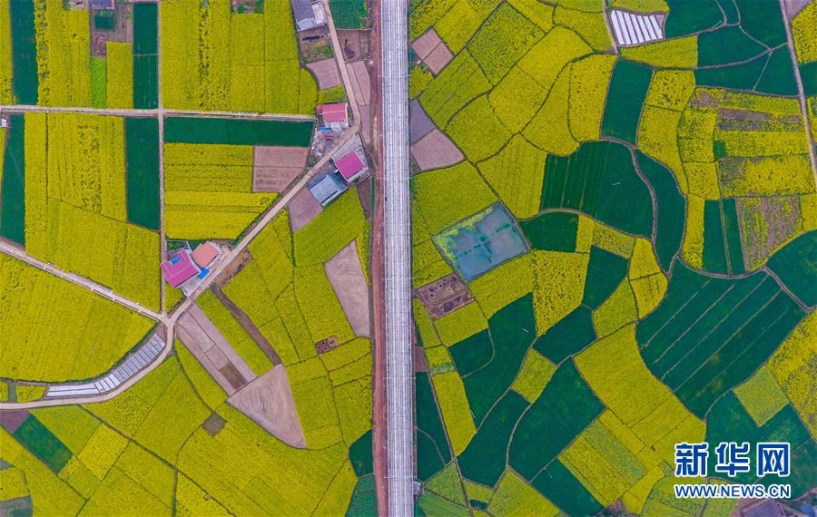 （图文互动）（7）别了，蜀道难&mdash;&mdash;西成高铁将重新绘就我国西部交通版图