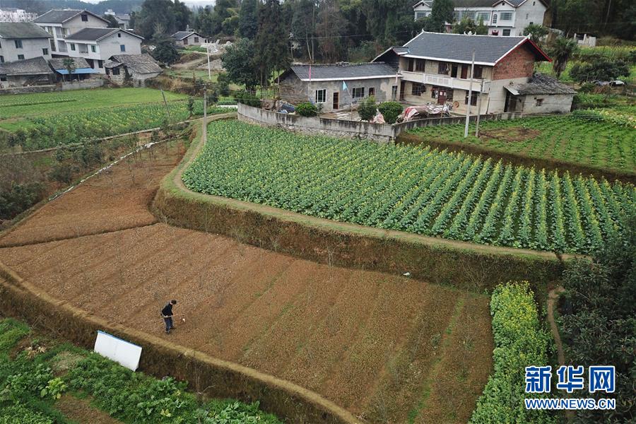 （社会）（1）惊蛰到 农事忙