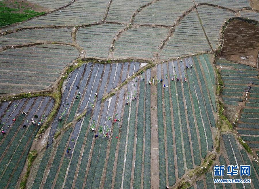 （社会）（4）惊蛰到 农事忙