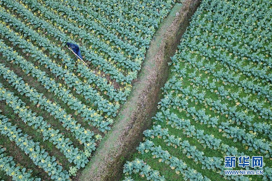 （社会）（5）惊蛰到 农事忙