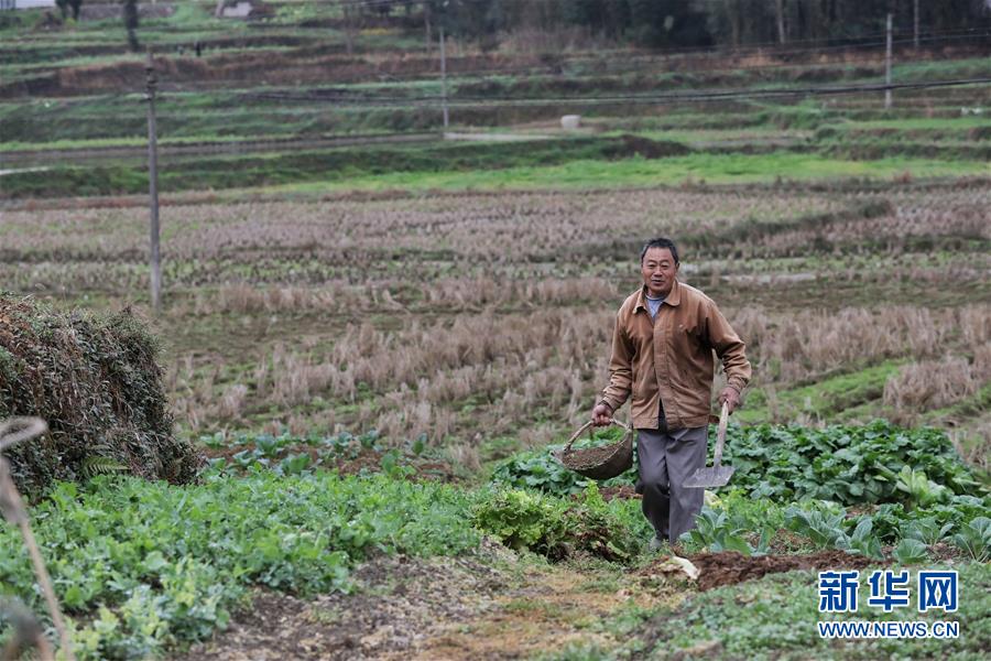 （社会）（6）惊蛰到 农事忙