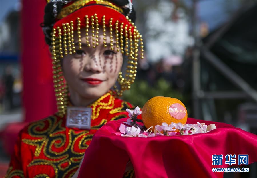 （经济）（3）四川石棉：黄果柑迎来丰收季