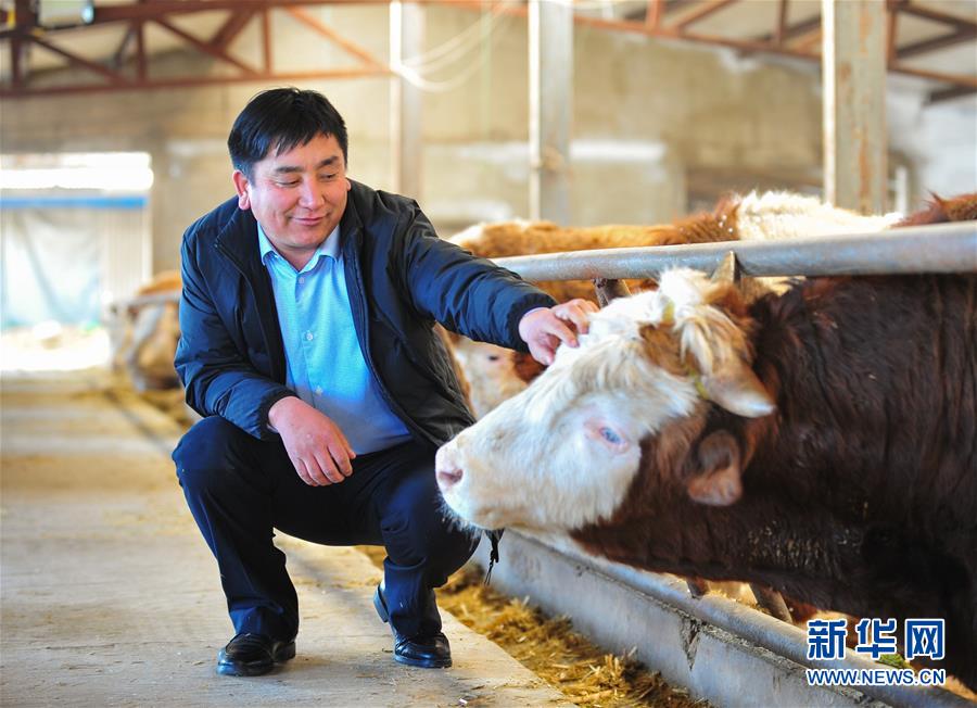 （两会&middot;基层代表履职故事）（4）全国人大代表吴云波：共享新时代发展成果